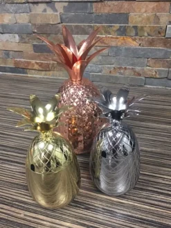 Ananas beker zilver gelijnd 400ml Cosy & Trendy
