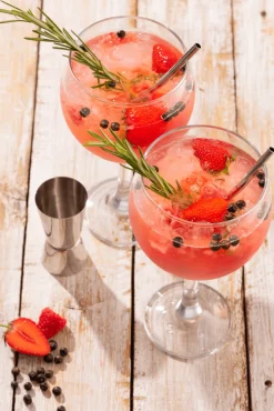 Barset voor gin cocktails 5-delig