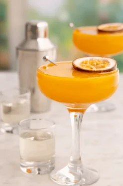 Barset voor martini cocktails 7-delig