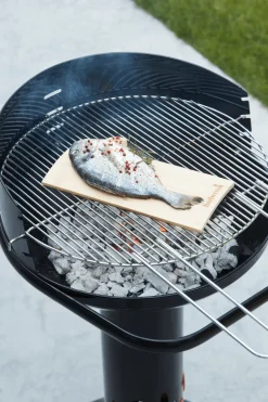 Braadrooster rond 50 cm Barbecook