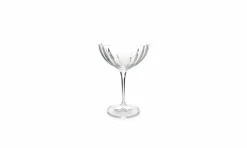 Champagne coupe 21 cl Optic