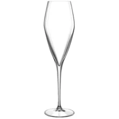 Champagneflute 27 cl Atelier