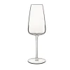 Champagneglas 40 cl I Meravigliosi