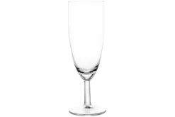 Champagneglas 15 cl set van 12 Ballon