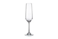 Champagneglas 20 cl Strix