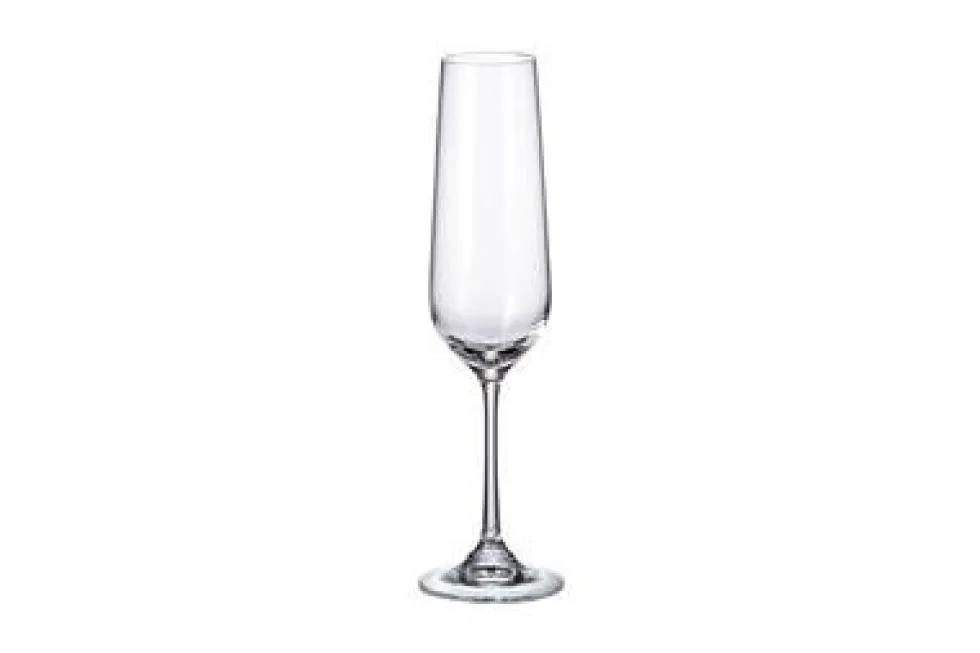 Champagneglas 20 cl Strix