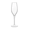 Champagneglas 20 cl Vinea