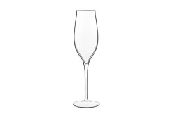 Champagneglas 20 cl Vinea