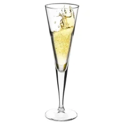 Champagne glas 16 cl Ypsilon