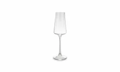 Champagneglas Muze 23cl