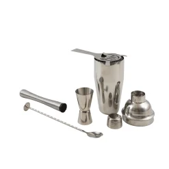 Cocktailset 5-delig RVS