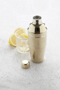 Cocktailset 4-delig RVS Goud