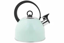 Fluitketel 1,7 L RVS met handvat Groen