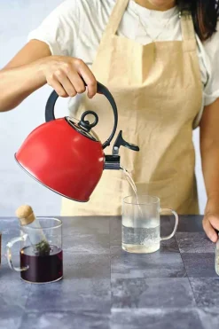 Fluitketel 1,7 L RVS met handvat Rood