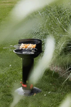 Houtskool Barbecue Loewy 50