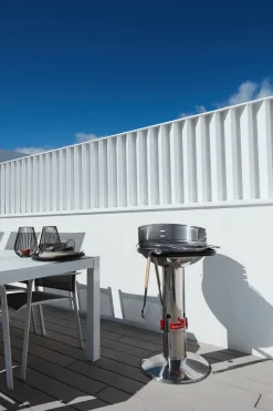 Houtskool Barbecue Loewy 50 RVS