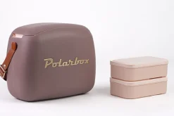 Koelbox met 2 boxen 6 L taupe Coolerbag