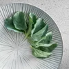 Kom 15 x 7 cm Halo Cloud