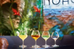 Likeurglas Spirits Rhum 17cl