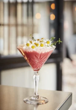 Martiniglas 21 cl Broadway