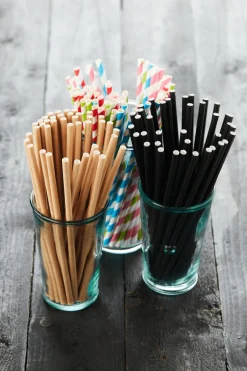 Rietjes Bruin Papier set van 48