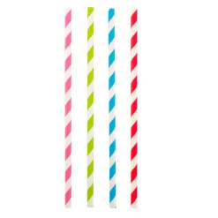 Rietjes Gekleurd Papier set van 48