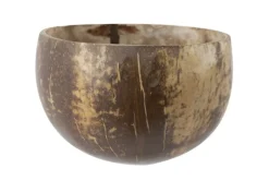 Schaal 35 - 50 cl Coconut Cosy & Trendy