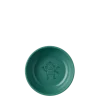 Schaal 30cl Turquoise Mepal Mio