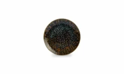 Serviesset 18-delig Bruin/Blauw Resto