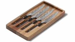 Steakmessen set 5-delig BARE Cookware