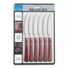 Steakmessen set 6 delig Brasero Amefa