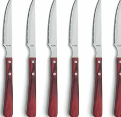 Steakmessen set 6 delig Brasero Amefa