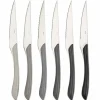 Steakmessen set 6 delig grijstinten Eclat Amefa