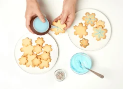 Uitsteekvorm voor 19 Koekjes Sneeuwvlok Lékué