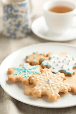 Uitsteekvorm voor 19 Koekjes Sneeuwvlok Lékué