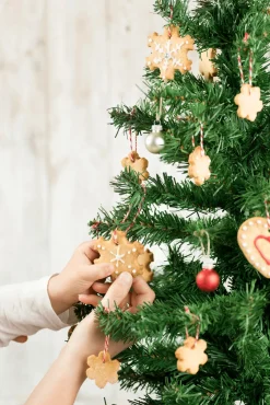 Uitsteekvorm voor 19 Koekjes Sneeuwvlok Lékué