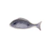 Visschaaltje 18 cm x 7 cm Blauw