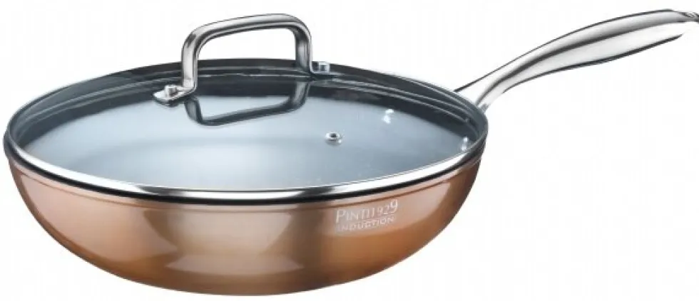 Wokpan met deksel 28 cm Pinti Materic